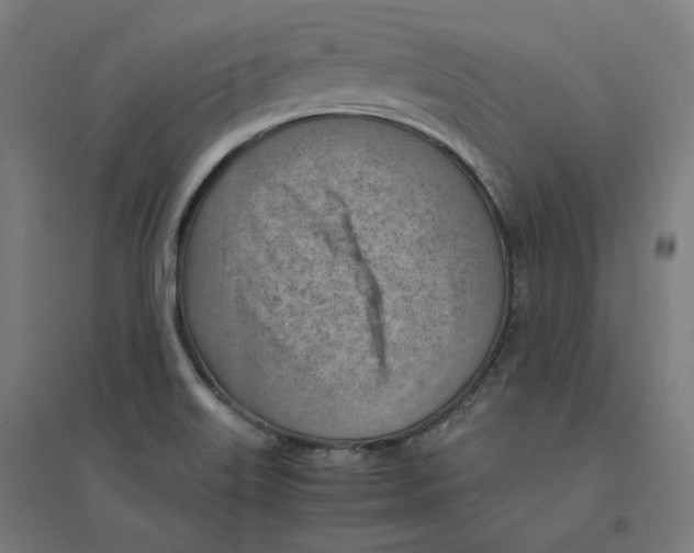 X0000094451515200712061149