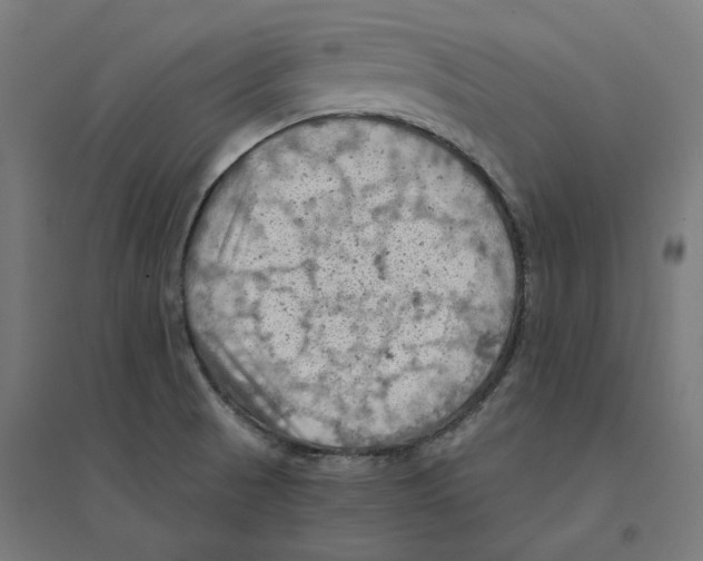 X0000094451521200712061149