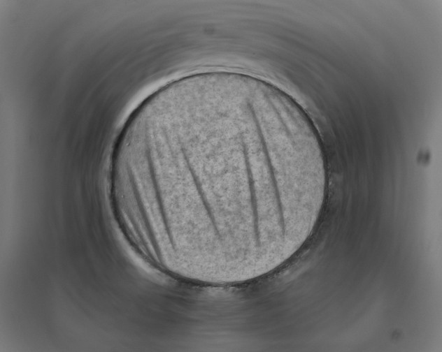 X0000094451523200712061149