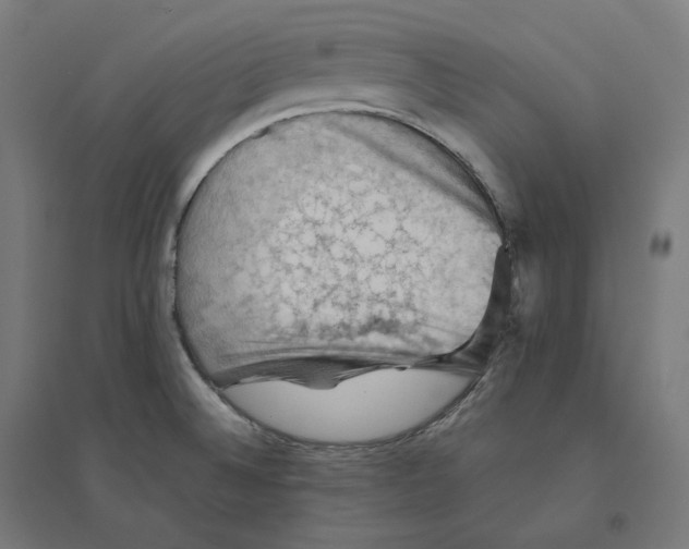 X0000094451524200712061149