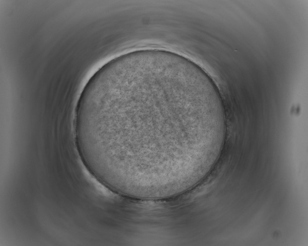 X0000094451527200712061149