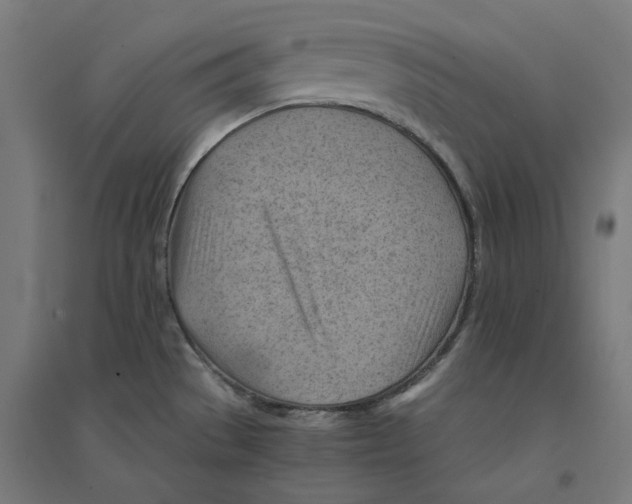 X0000094451529200712061149