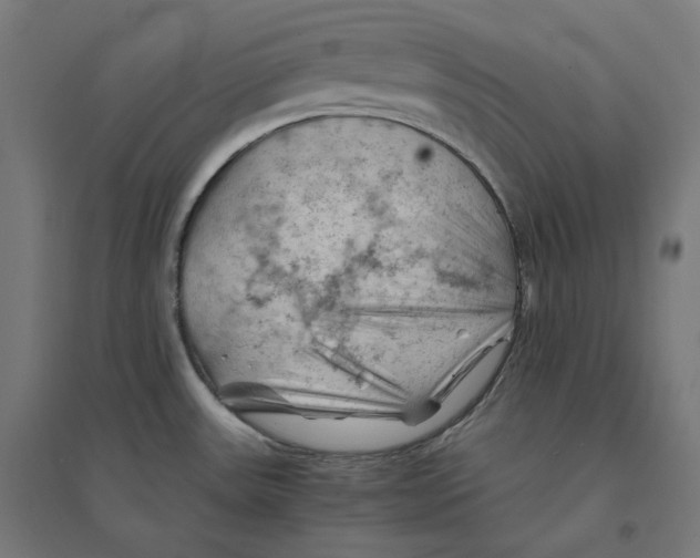 X0000094451531200712061149