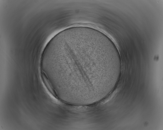 X0000094451533200712061149