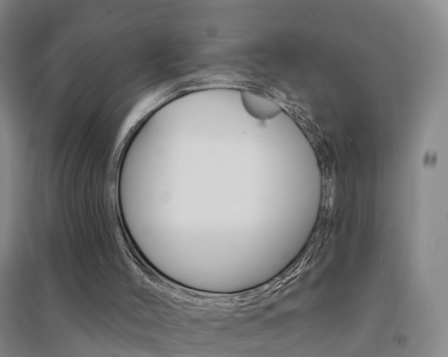 X0000094460004200711081109