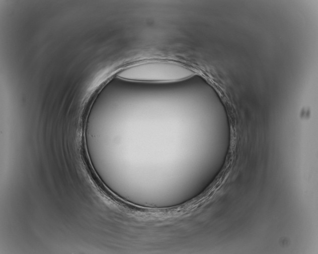 X0000094460005200711081109