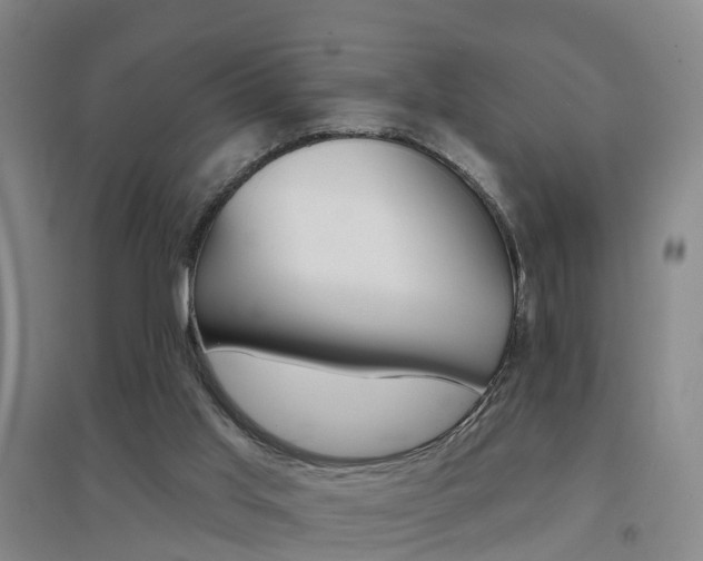X0000094460013200711081109