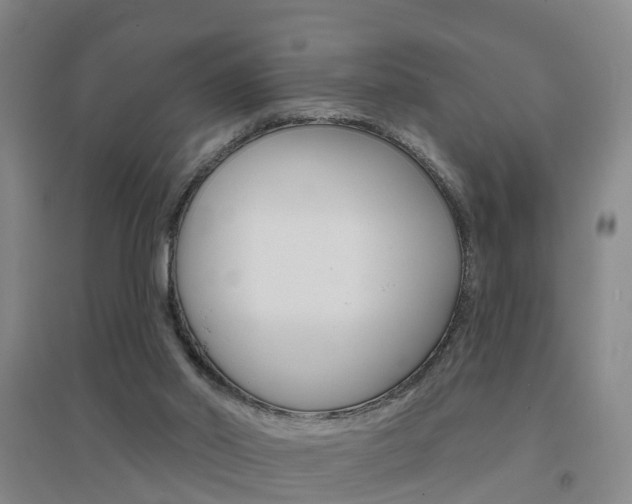 X0000094460014200711081109