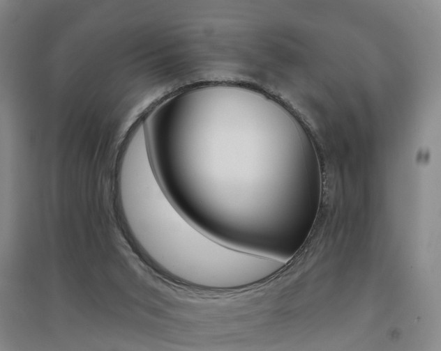 X0000094460015200711081109