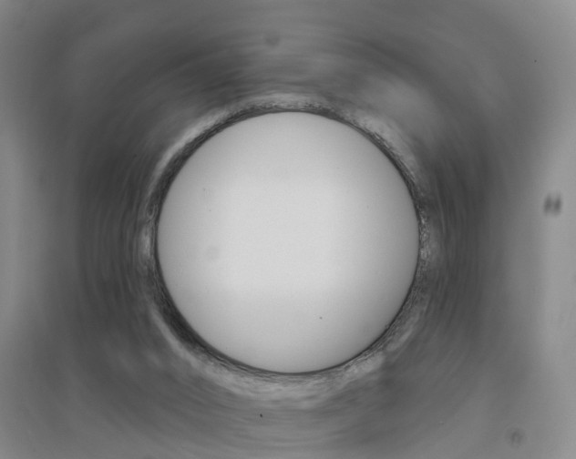 X0000094460016200711081109
