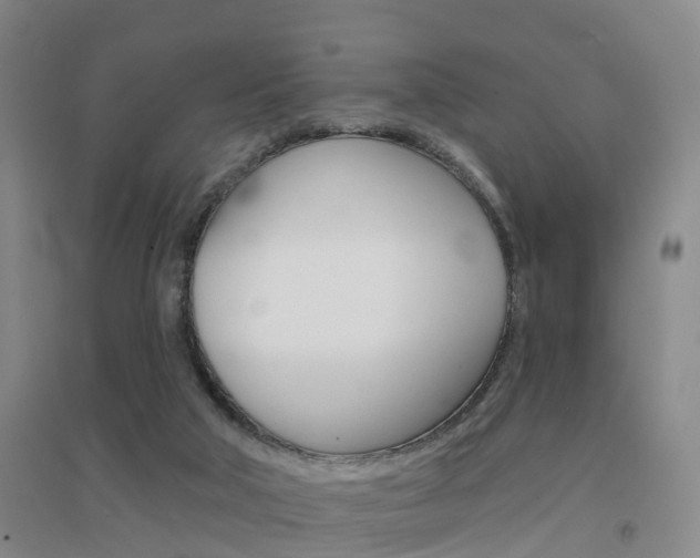 X0000094460018200711081109