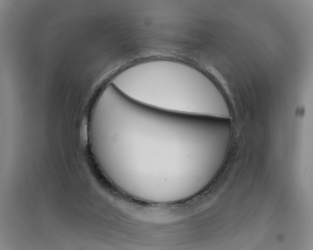 X0000094460020200711081109