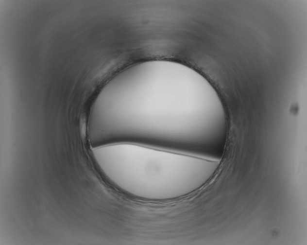 X0000094460021200711081109