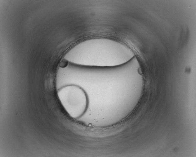 X0000094460026200711081109