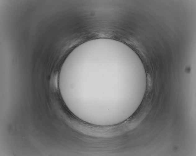 X0000094460028200711081109