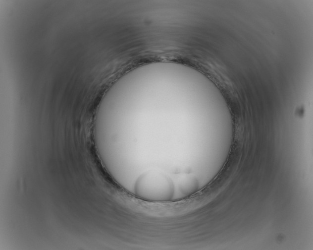 X0000094460030200711081109