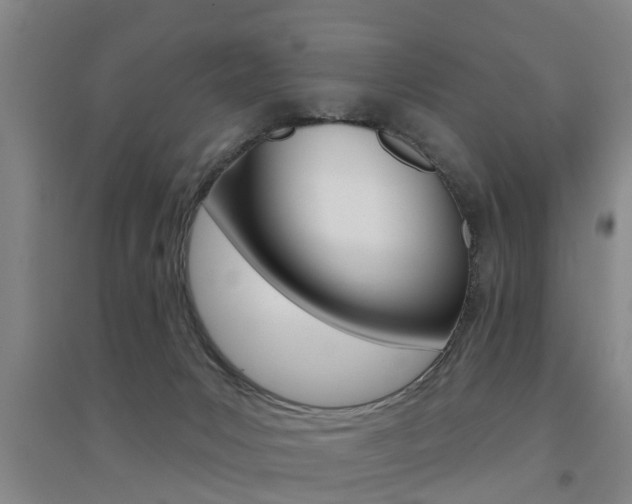 X0000094460031200711081109