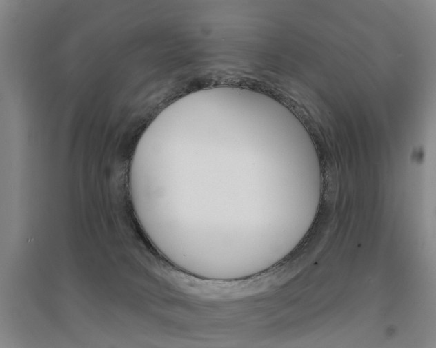 X0000094460034200711081109