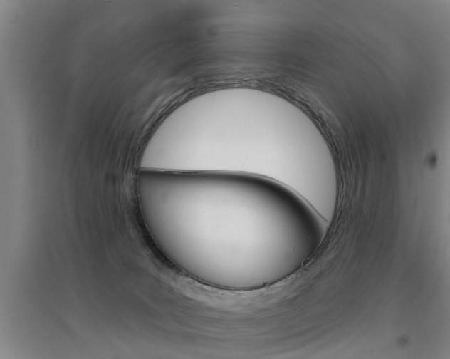 X0000094460035200711081109