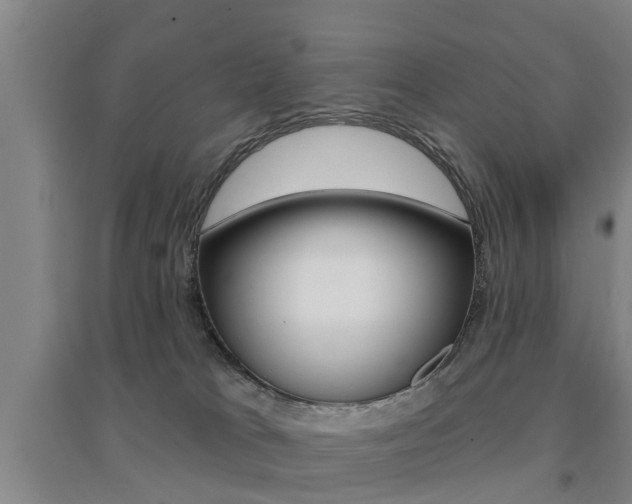 X0000094460037200711081109