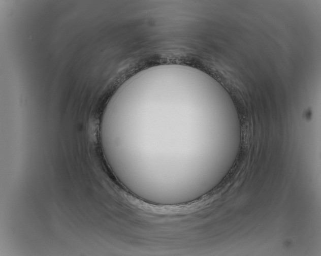 X0000094460038200711081109
