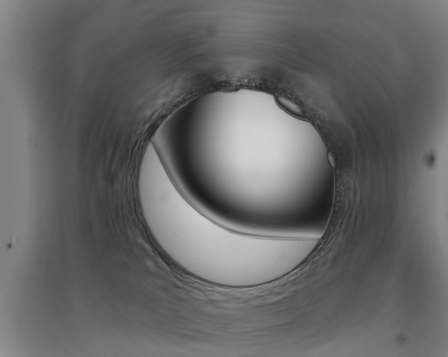 X0000094460039200711081109