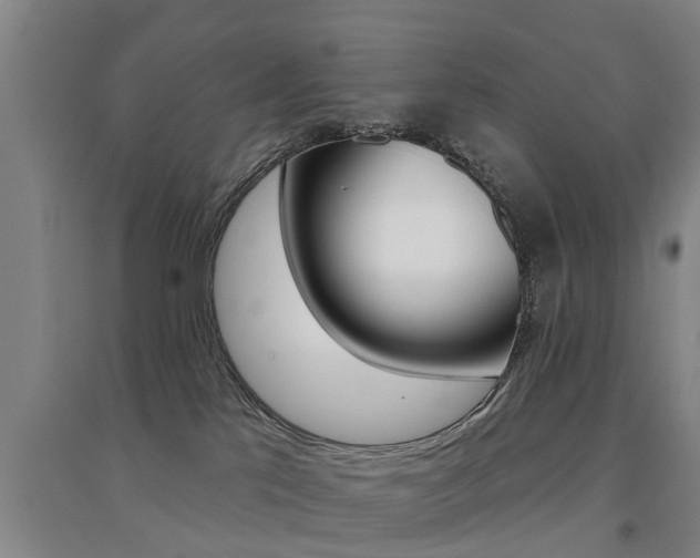 X0000094460041200711081109