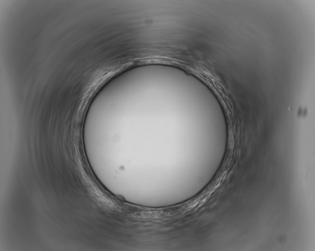 X0000094460049200711081108