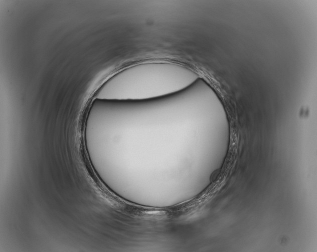 X0000094460053200711081108