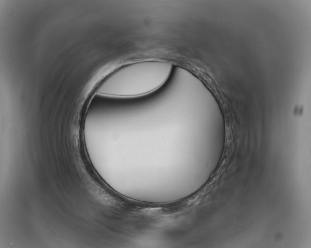 X0000094460054200711081108