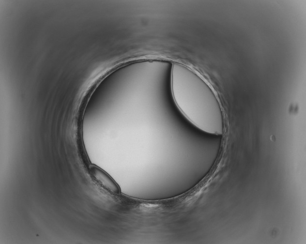 X0000094460055200711081108