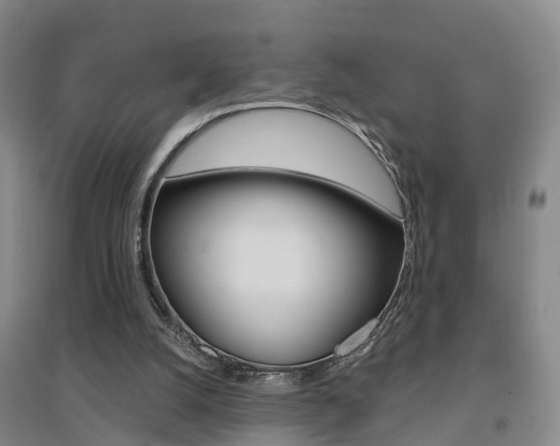 X0000094460056200711081108