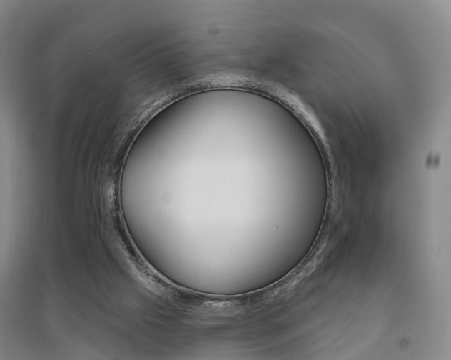 X0000094460057200711081108