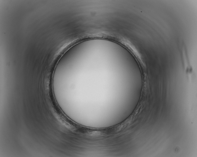X0000094460058200711081108