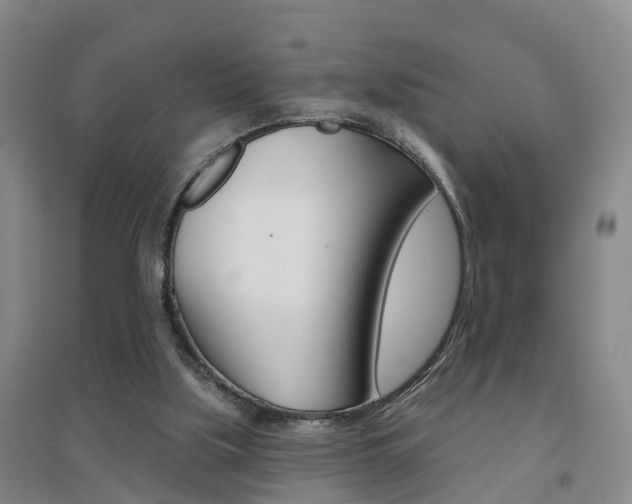 X0000094460059200711081108