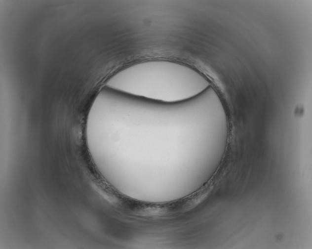 X0000094460065200711081108