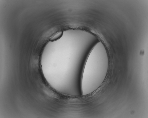 X0000094460066200711081108