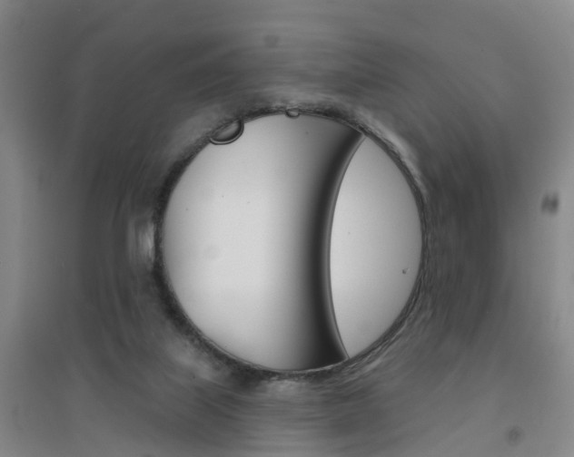 X0000094460067200711081108