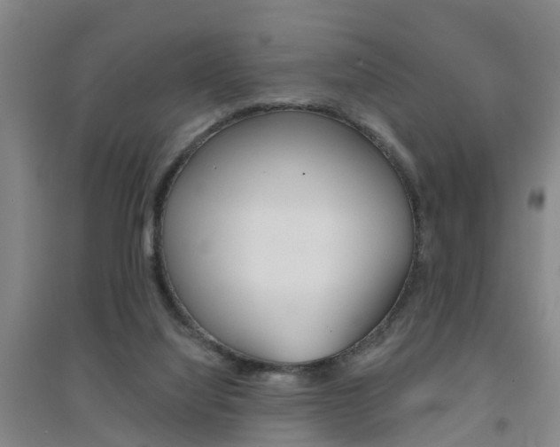 X0000094460068200711081108