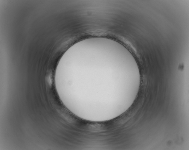 X0000094460069200711081108