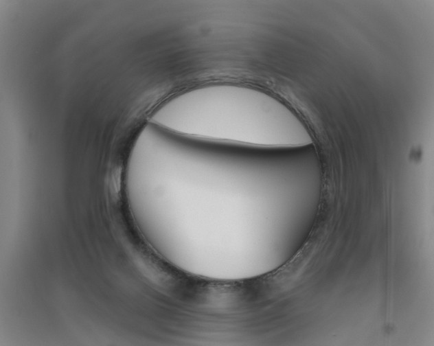 X0000094460070200711081108