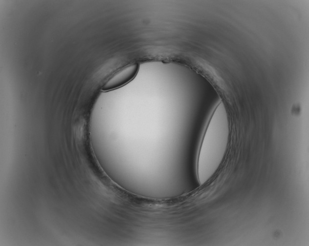 X0000094460071200711081108