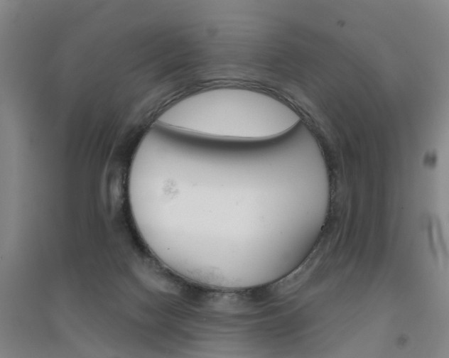 X0000094460074200711081108