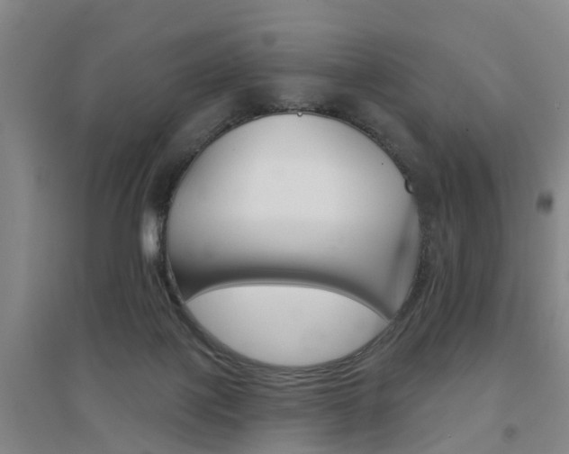 X0000094460075200711081108