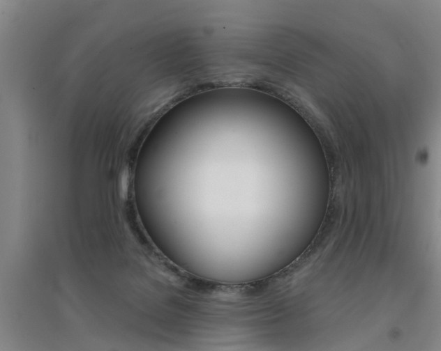 X0000094460076200711081108