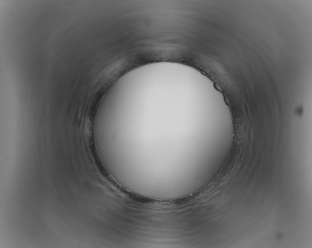 X0000094460077200711081108