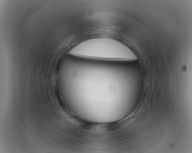 X0000094460078200711081108