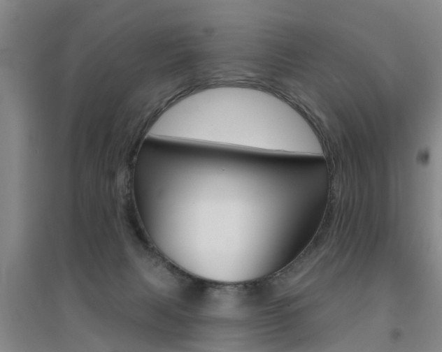 X0000094460079200711081108