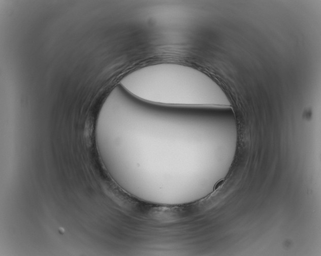 X0000094460082200711081108