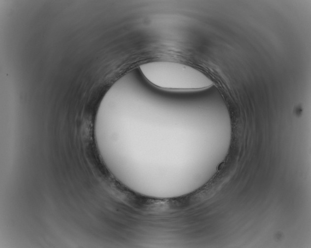 X0000094460083200711081108